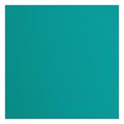 Florence Cardstock FROSTING Texture 12x12'' 216g