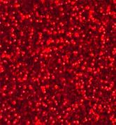 embossing powder supersparkle red